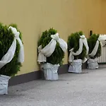 Torwirt * Lavamünd